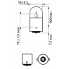 Lâmpada pisca R5W BA15s