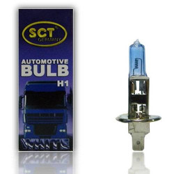 H1 Branco 12V 55W P14,5s